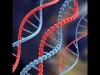 برنامه فعال سازی برای 12 اشتراک DNA