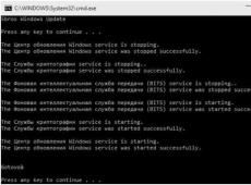 Centrum Windows Update nefunguje – situaci opravujeme